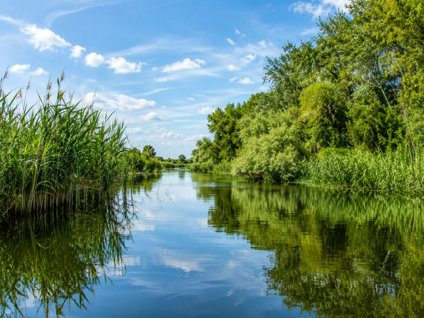 Danube Delta in Romania